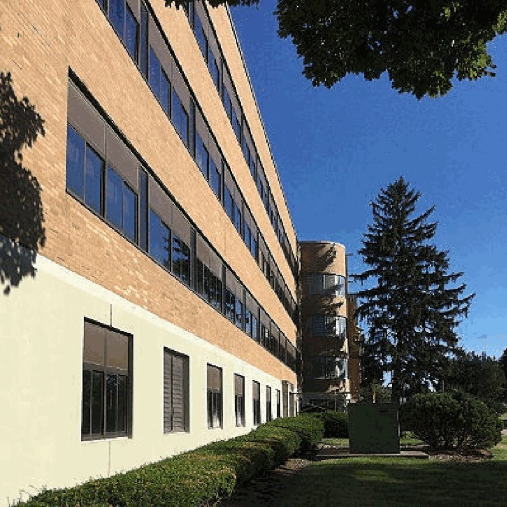 Multi-storey office building with mature trees on a clear day